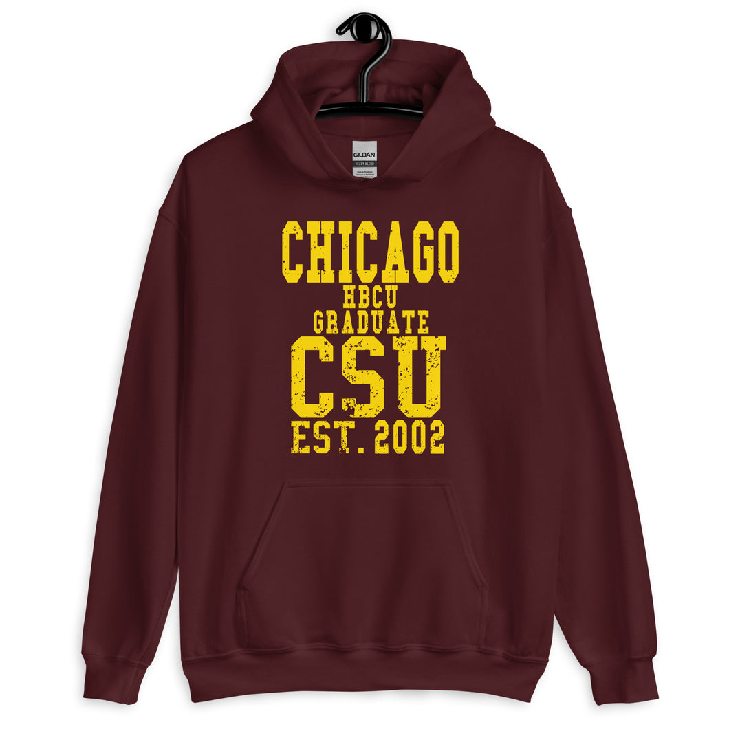 CHICAGO CLASS OF 2002 HOODIE